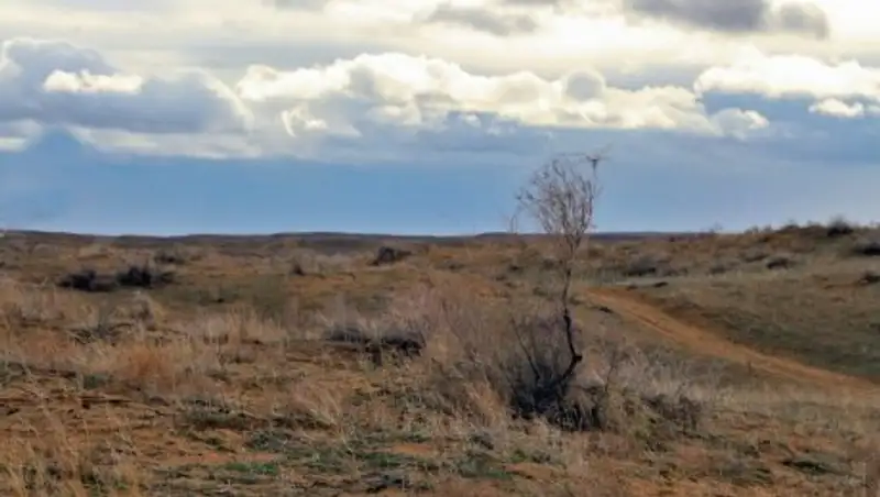 Разыскиваемого кочегара из Шахана нашли мертвым в степи