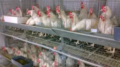 Zakon.kz, фото - Новости Zakon.kz от 15.02.2017 21:29