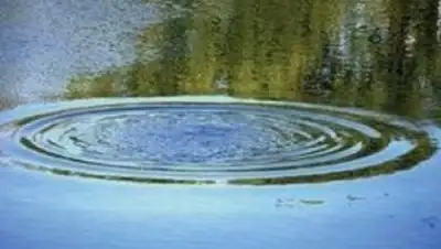 Zakon.kz, фото - Новости Zakon.kz от 05.07.2015 04:44