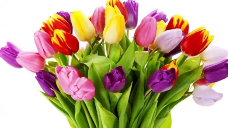 Как казахстанцы будут отдыхать в Международный женский день