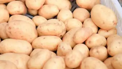 pxhere.com, фото - Новости Zakon.kz от 14.04.2021 09:19