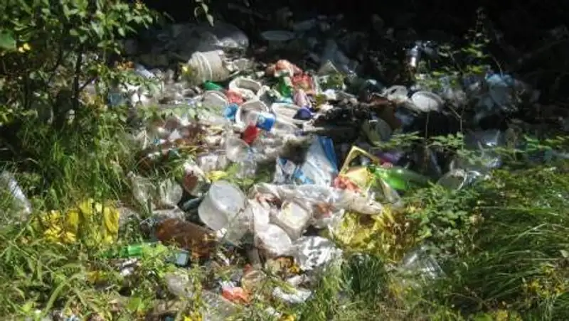 Свалка во дворе частного дома отравляет жизнь соседям