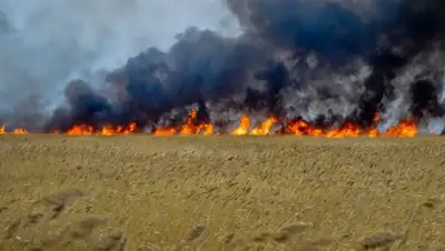 Zakon.kz, фото - Новости Zakon.kz от 20.08.2015 21:57