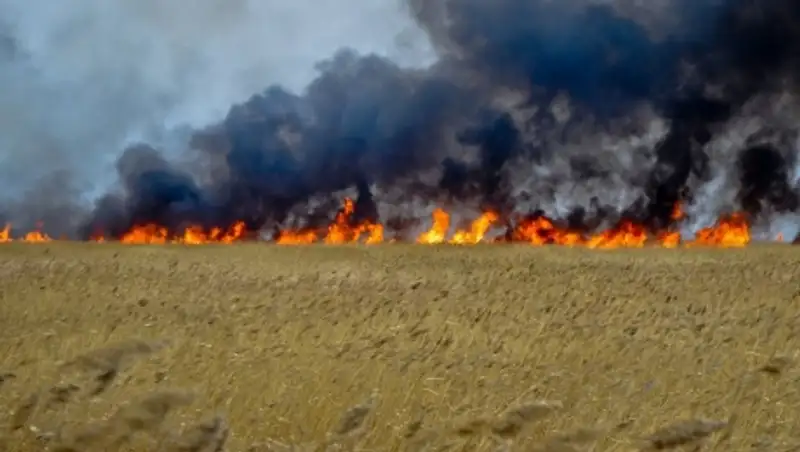 В Усть-Каменогорске в зоне учебных стрельбищ произошел пожар
