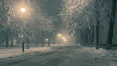 nat-geo.ru, фото - Новости Zakon.kz от 09.12.2018 09:34