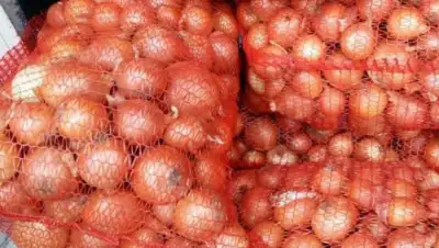 Мой огород, фото - Новости Zakon.kz от 11.02.2020 08:33