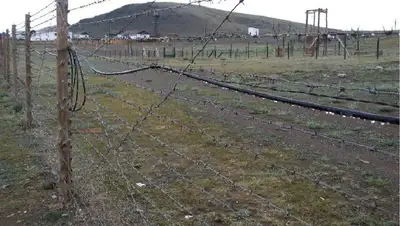 Кыргызстан Таджикистан прекращение огня, фото - Новости Zakon.kz от 16.09.2022 16:03