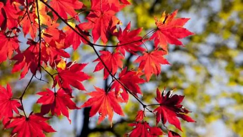 Тепло вернется в Казахстан