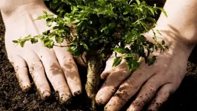 Zakon.kz, фото - Новости Zakon.kz от 14.03.2016 20:33