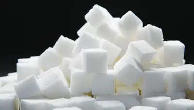 Журнал Зерно, фото - Новости Zakon.kz от 19.04.2019 13:01