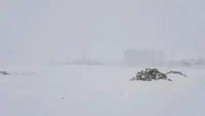 Есена Жусупбаева, фото - Новости Zakon.kz от 08.10.2021 10:57