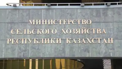 Zakon.kz, фото - Новости Zakon.kz от 08.01.2015 23:51