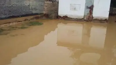 Turmush, фото - Новости Zakon.kz от 13.04.2018 17:04