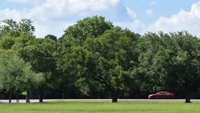 pixabay.com, фото - Новости Zakon.kz от 09.08.2021 15:46