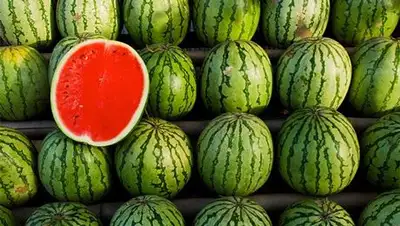 Zakon.kz, фото - Новости Zakon.kz от 22.08.2014 17:36