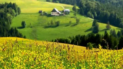 Zakon.kz, фото - Новости Zakon.kz от 02.06.2017 12:00