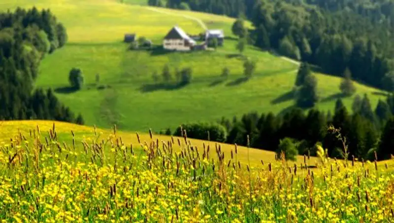 Неустойчивая погода сохранится в Казахстане 2 июня