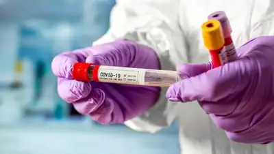 zakon.kz., фото - Новости Zakon.kz от 04.07.2020 10:02