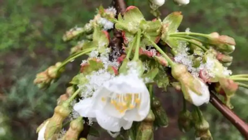 Град, снег. Как меняется погода в Алматы