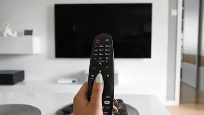 Pixabay, фото - Новости Zakon.kz от 12.07.2020 14:52