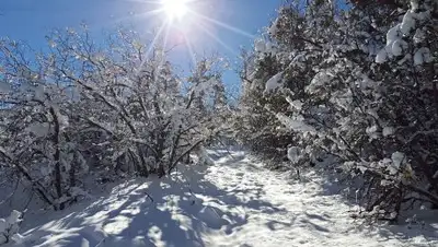 Pixabay, фото - Новости Zakon.kz от 20.02.2019 16:41