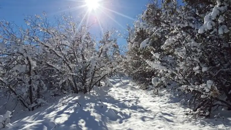 В ряде областей объявлено штормовое предупреждение