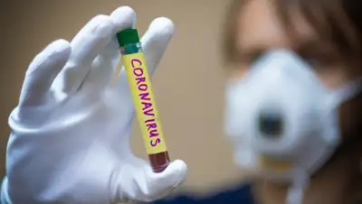 pixabay.com, фото - Новости Zakon.kz от 05.05.2020 13:06