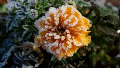 Zakon.kz, фото - Новости Zakon.kz от 12.09.2015 12:26