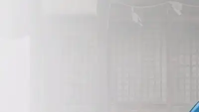 test, фото - Новости Zakon.kz от 11.04.2018 15:42