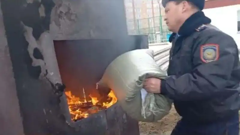 Полицейские сожгли более 200 килограммов наркотиков в Костанайской области