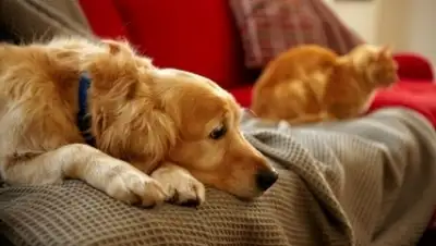 Zakon.kz, фото - Новости Zakon.kz от 26.12.2015 16:01