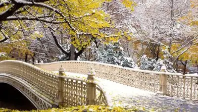 Zakon.kz, фото - Новости Zakon.kz от 06.11.2017 06:00