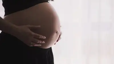 pixabay.com, фото - Новости Zakon.kz от 29.04.2020 13:36