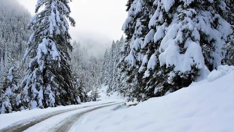 Гололед, метель и туман ожидаются в Казахстане