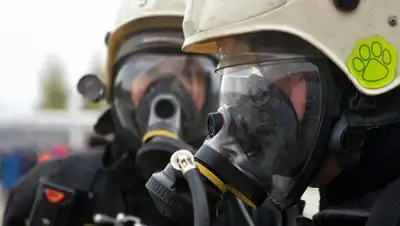 Zakon.kz, фото - Новости Zakon.kz от 06.11.2016 17:18