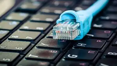 inbusiness.kz, фото - Новости Zakon.kz от 01.02.2021 12:47