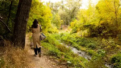 в Казахстане утвердили правила  создания, содержания и защиты зеленых насаждений населенных пунктов, фото - Новости Zakon.kz от 16.03.2023 14:02