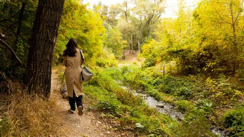 Перед застройкой территорий с зелеными насаждениями акиматы обязали проводить общественные слушания