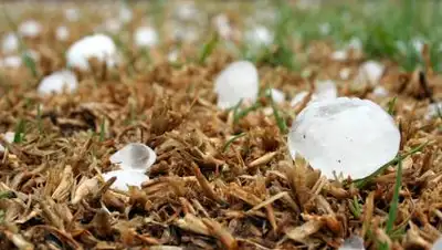 pixabay.com, фото - Новости Zakon.kz от 23.06.2021 18:13