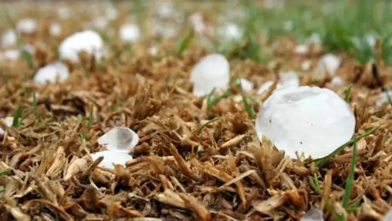 Град и ветер ожидаются в ряде регионов Казахстана