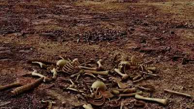 pixabay.com, фото - Новости Zakon.kz от 30.07.2021 10:22