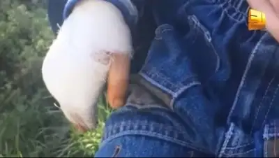 Zakon.kz, фото - Новости Zakon.kz от 06.05.2015 15:12