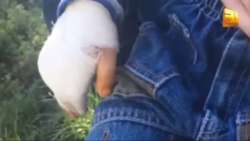 В Шахтинске на детской игровой площадке 4-летний малыш лишился пальца