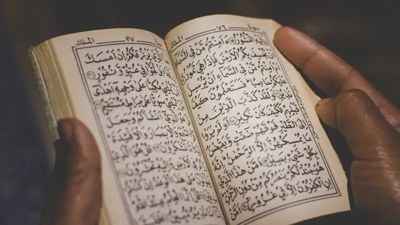 Житель Швеции намерен вместо Корана сжечь устав НАТО