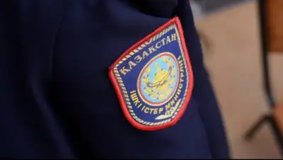 Patrul.kz, фото - Новости Zakon.kz от 02.03.2020 16:23