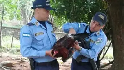 Zakon.kz, фото - Новости Zakon.kz от 28.01.2017 15:00