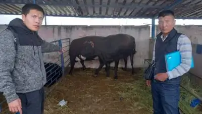 Polisia.kz, фото - Новости Zakon.kz от 18.07.2021 15:58