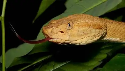 Zakon.kz, фото - Новости Zakon.kz от 04.11.2015 03:00