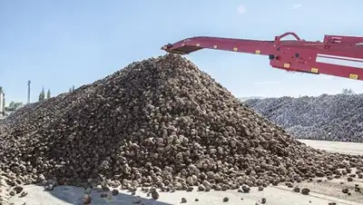 Zakon.kz, фото - Новости Zakon.kz от 01.11.2017 13:30