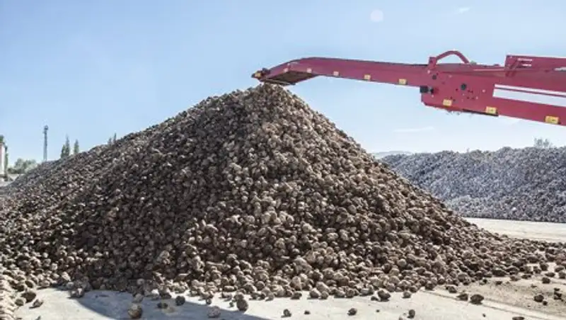 35 тысяч тонн сахара получит Алматинская область в этом году